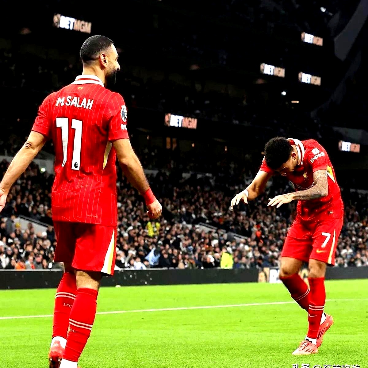 九游游戏-布里斯班吼vs麦克阿瑟