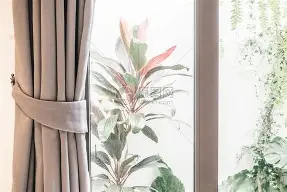 九游游戏-纽约尼克斯阵容最新